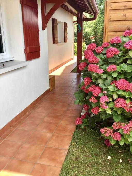 1Km Plage, Agreable Maison 6 Pers Classee 3* Андай Екстер'єр фото